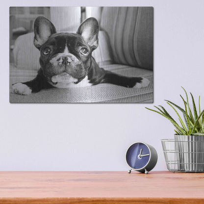 Luxe Metal Art 'Hugo' by Kim Levin, Metal Wall Art,16x12