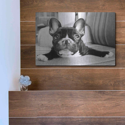 Luxe Metal Art 'Hugo' by Kim Levin, Metal Wall Art,16x12