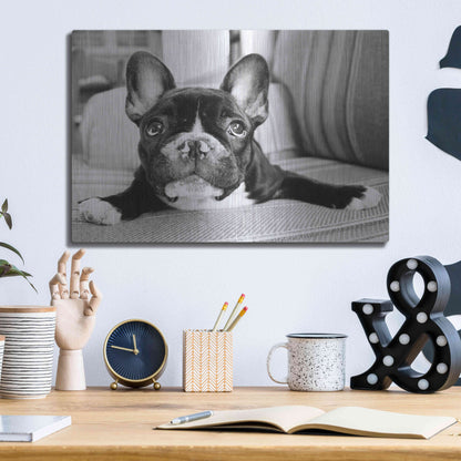 Luxe Metal Art 'Hugo' by Kim Levin, Metal Wall Art,16x12