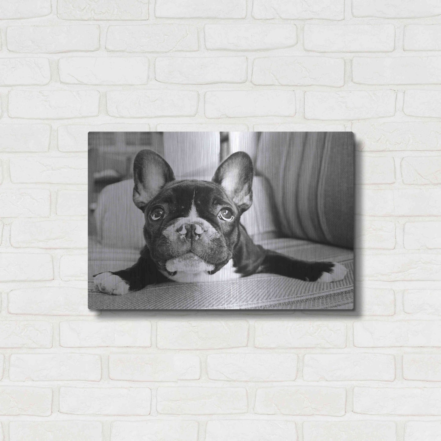 Luxe Metal Art 'Hugo' by Kim Levin, Metal Wall Art,24x16