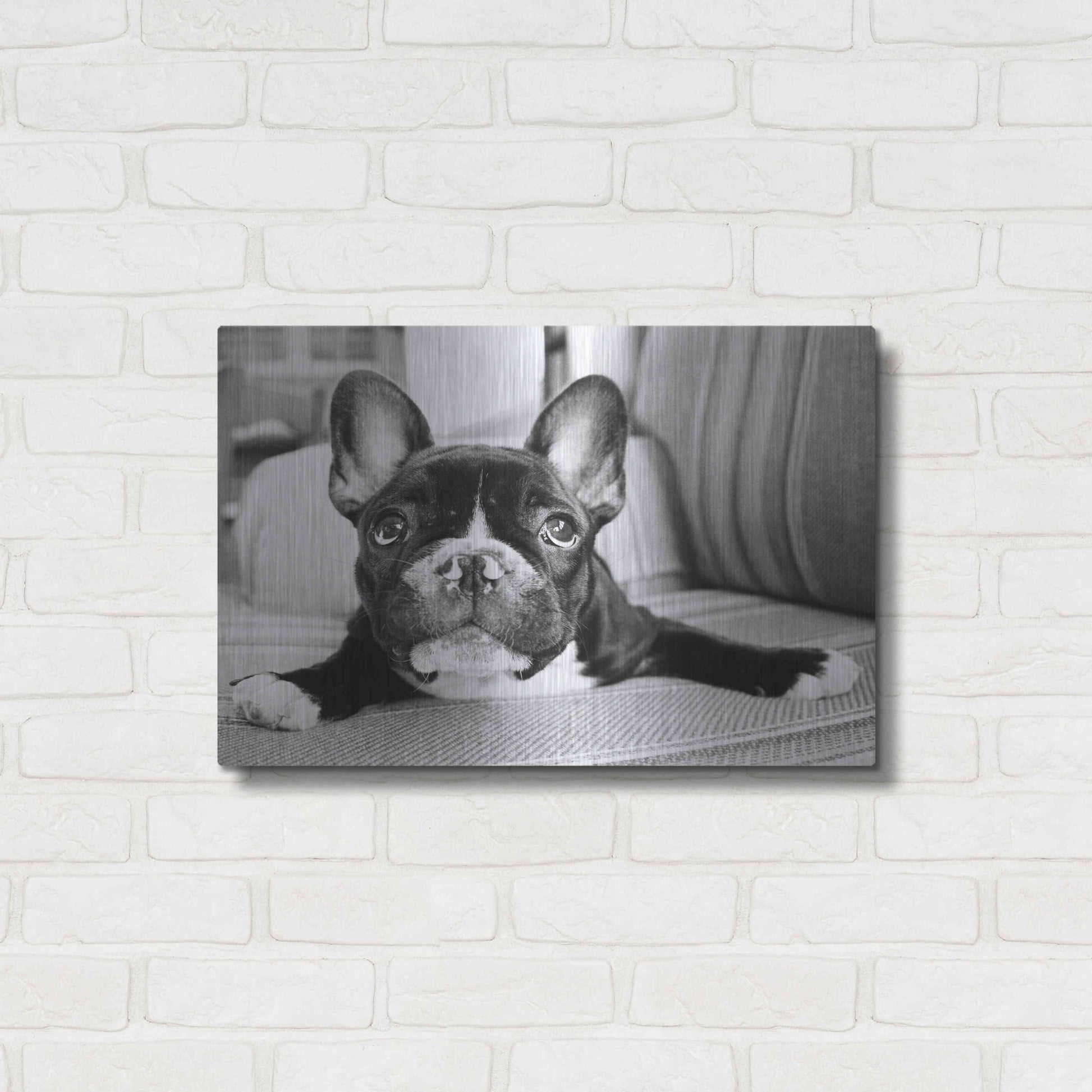 Luxe Metal Art 'Hugo' by Kim Levin, Metal Wall Art,24x16