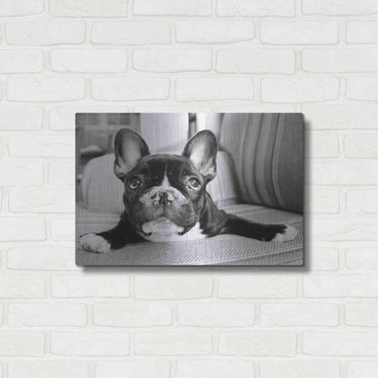 Luxe Metal Art 'Hugo' by Kim Levin, Metal Wall Art,24x16