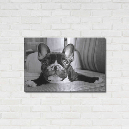 Luxe Metal Art 'Hugo' by Kim Levin, Metal Wall Art,36x24