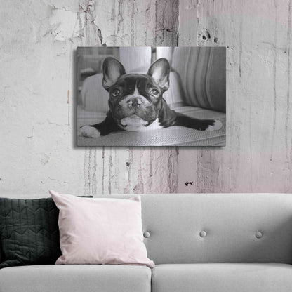 Luxe Metal Art 'Hugo' by Kim Levin, Metal Wall Art,36x24