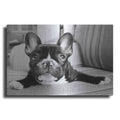 Luxe Metal Art 'Hugo' by Kim Levin, Metal Wall Art