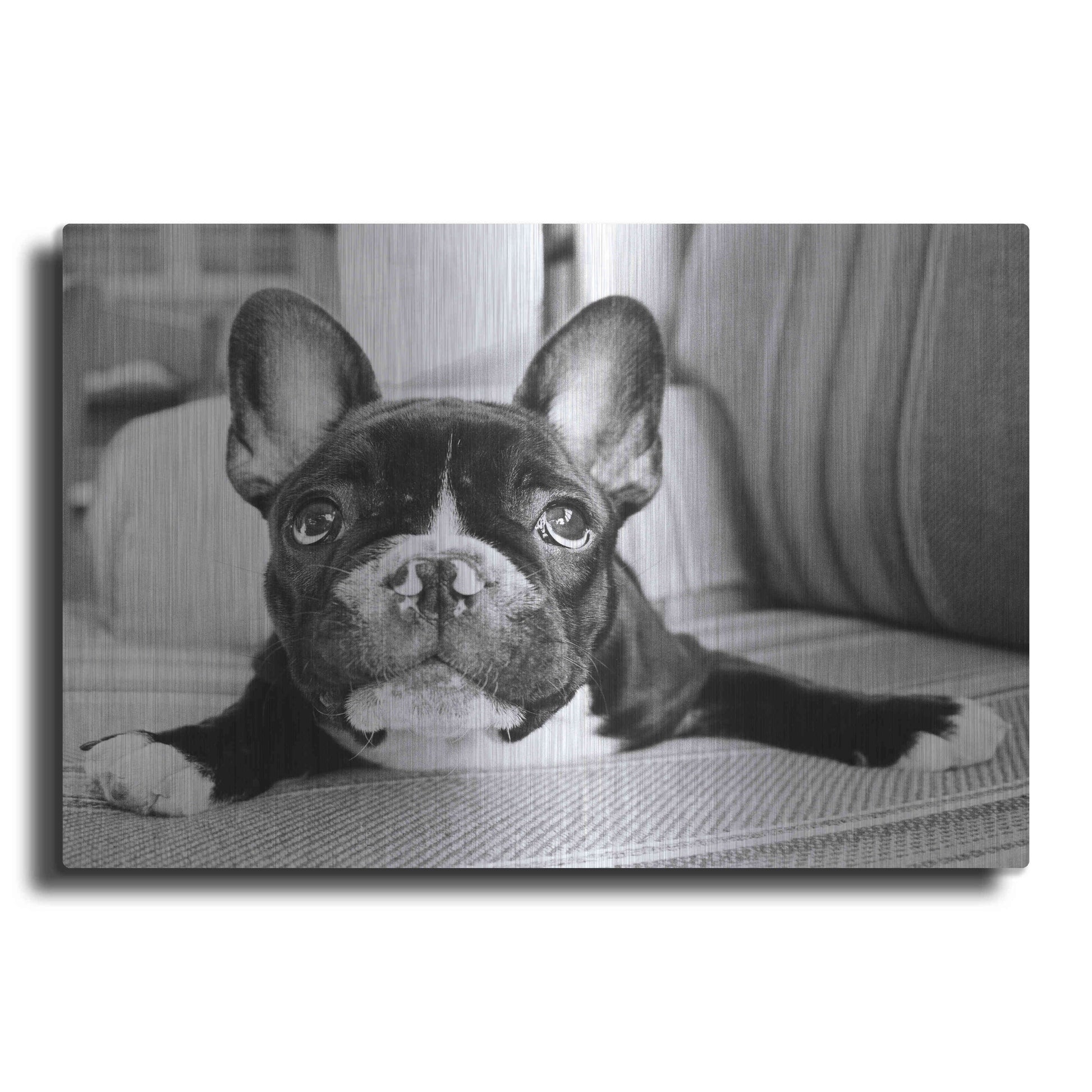 Luxe Metal Art 'Hugo' by Kim Levin, Metal Wall Art