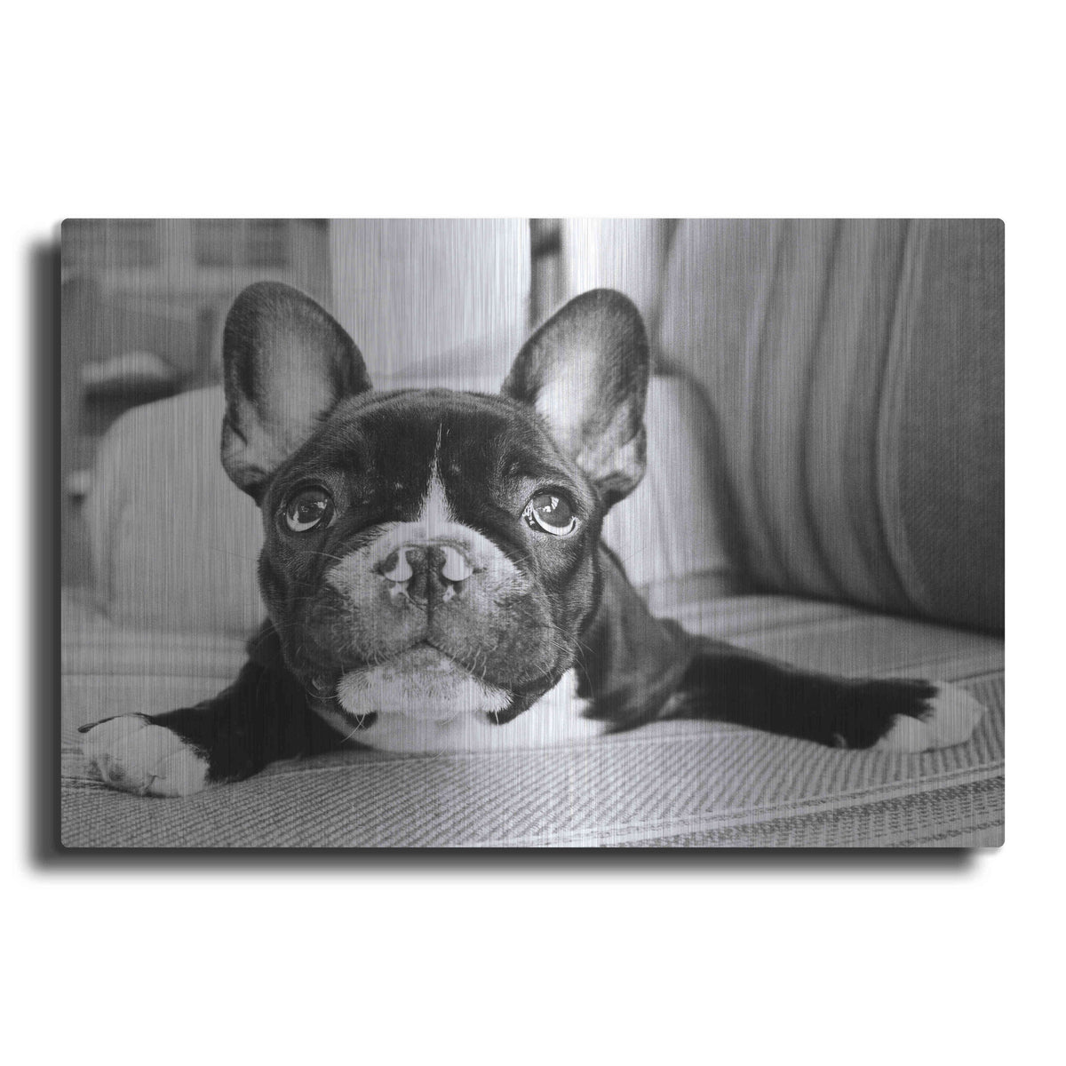 Luxe Metal Art 'Hugo' by Kim Levin, Metal Wall Art