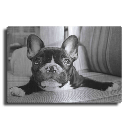 Luxe Metal Art 'Hugo' by Kim Levin, Metal Wall Art