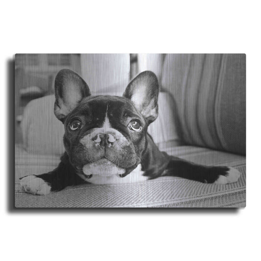 Luxe Metal Art 'Hugo' by Kim Levin, Metal Wall Art