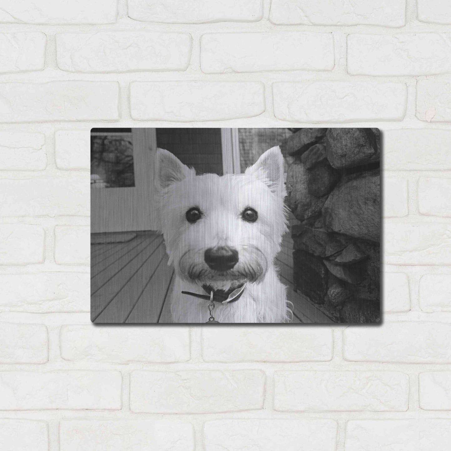 Luxe Metal Art 'Rosie' by Kim Levin, Metal Wall Art,16x12