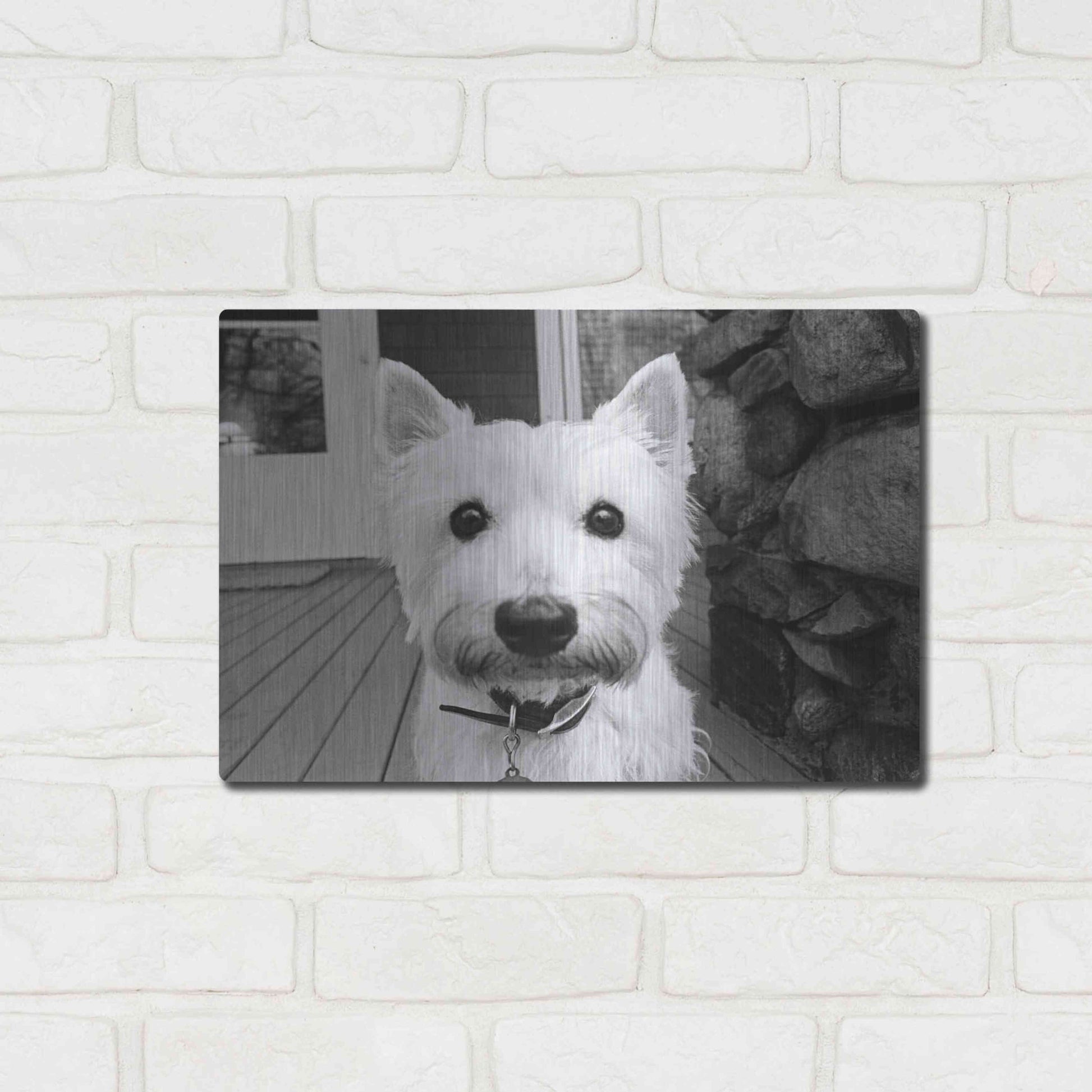 Luxe Metal Art 'Rosie' by Kim Levin, Metal Wall Art,16x12