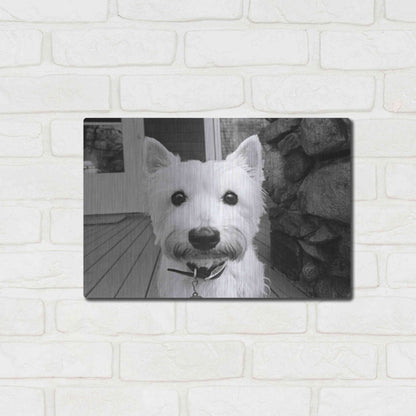 Luxe Metal Art 'Rosie' by Kim Levin, Metal Wall Art,16x12