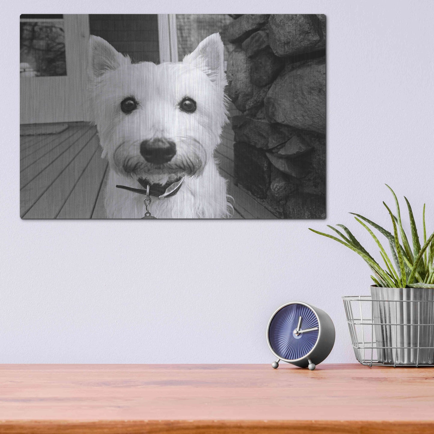 Luxe Metal Art 'Rosie' by Kim Levin, Metal Wall Art,16x12