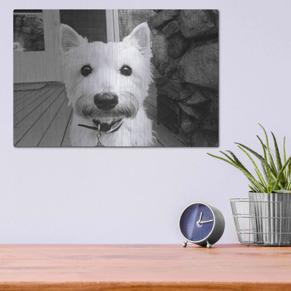 Luxe Metal Art 'Rosie' by Kim Levin, Metal Wall Art,16x12