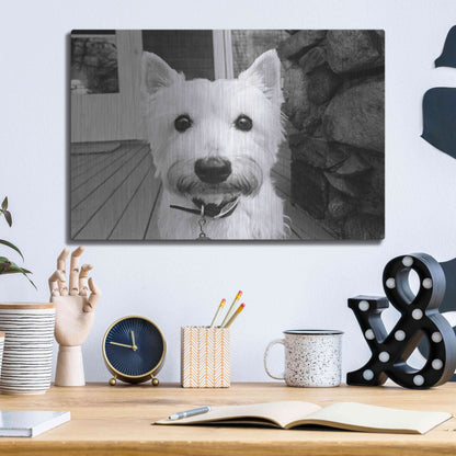 Luxe Metal Art 'Rosie' by Kim Levin, Metal Wall Art,16x12