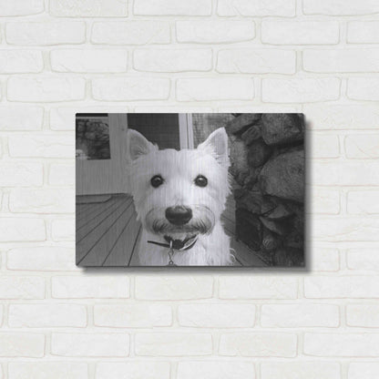 Luxe Metal Art 'Rosie' by Kim Levin, Metal Wall Art,24x16