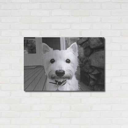 Luxe Metal Art 'Rosie' by Kim Levin, Metal Wall Art,36x24