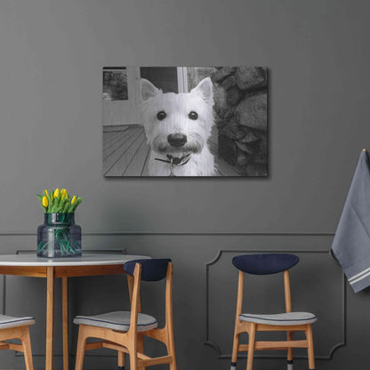 Luxe Metal Art 'Rosie' by Kim Levin, Metal Wall Art,36x24