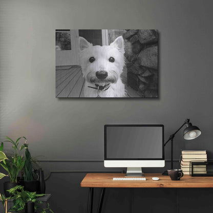 Luxe Metal Art 'Rosie' by Kim Levin, Metal Wall Art,36x24