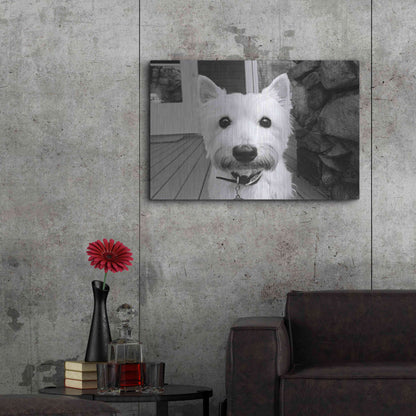 Luxe Metal Art 'Rosie' by Kim Levin, Metal Wall Art,36x24