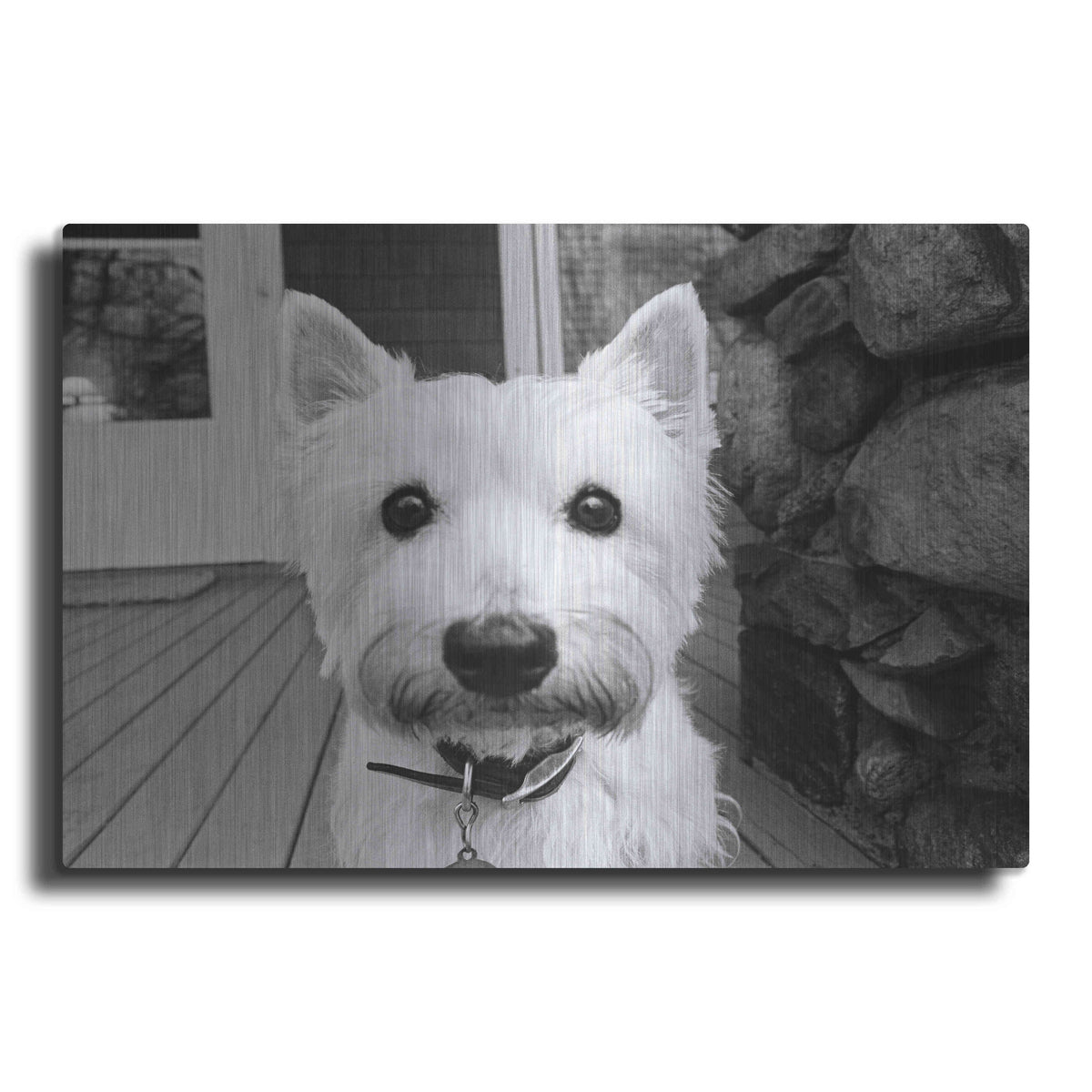 Luxe Metal Art 'Rosie' by Kim Levin, Metal Wall Art