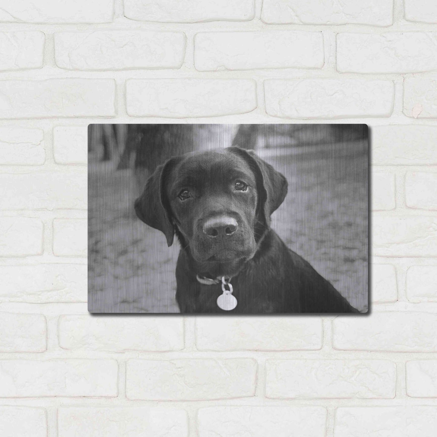 Luxe Metal Art 'Zoey' by Kim Levin, Metal Wall Art,16x12