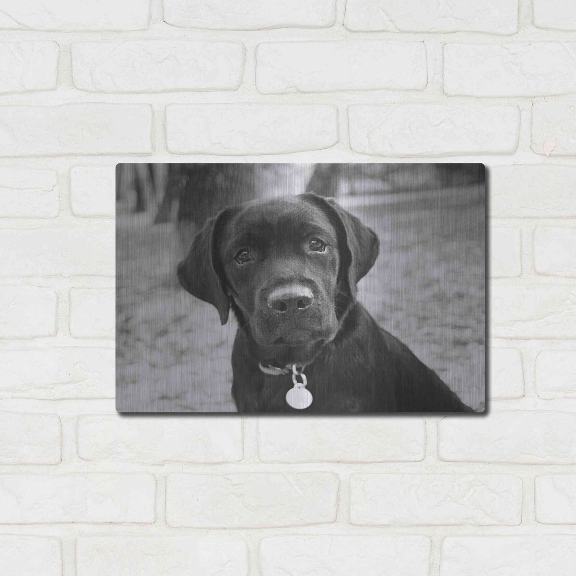 Luxe Metal Art 'Zoey' by Kim Levin, Metal Wall Art,16x12