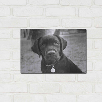 Luxe Metal Art 'Zoey' by Kim Levin, Metal Wall Art,16x12