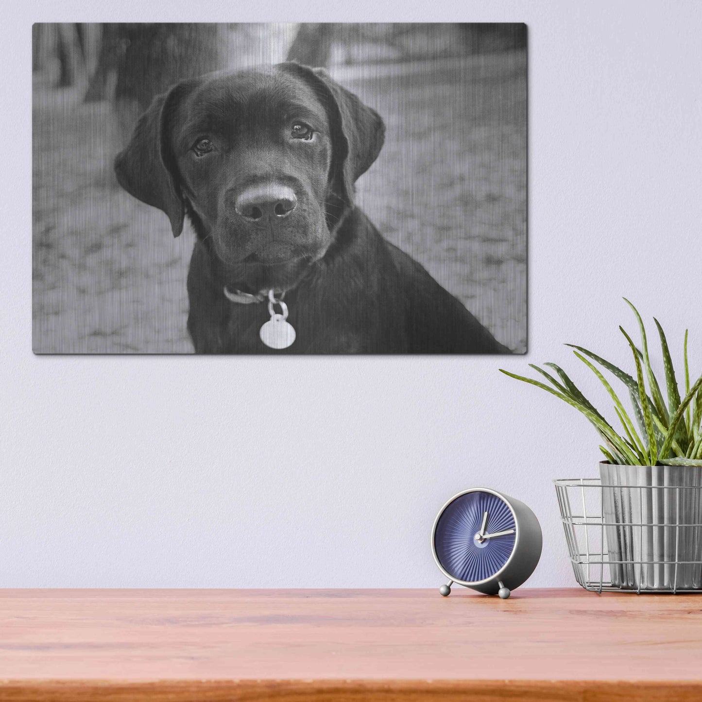 Luxe Metal Art 'Zoey' by Kim Levin, Metal Wall Art,16x12