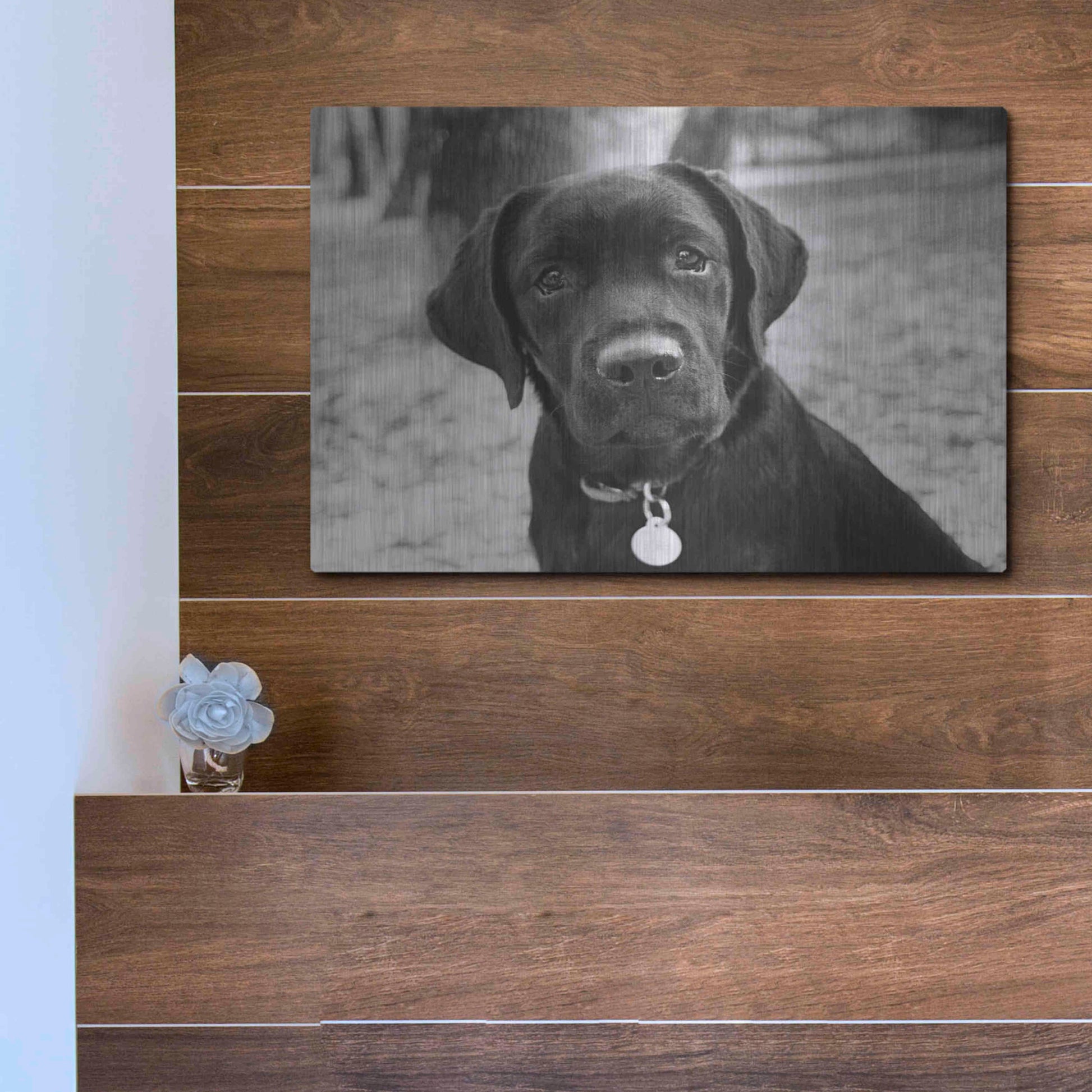 Luxe Metal Art 'Zoey' by Kim Levin, Metal Wall Art,16x12