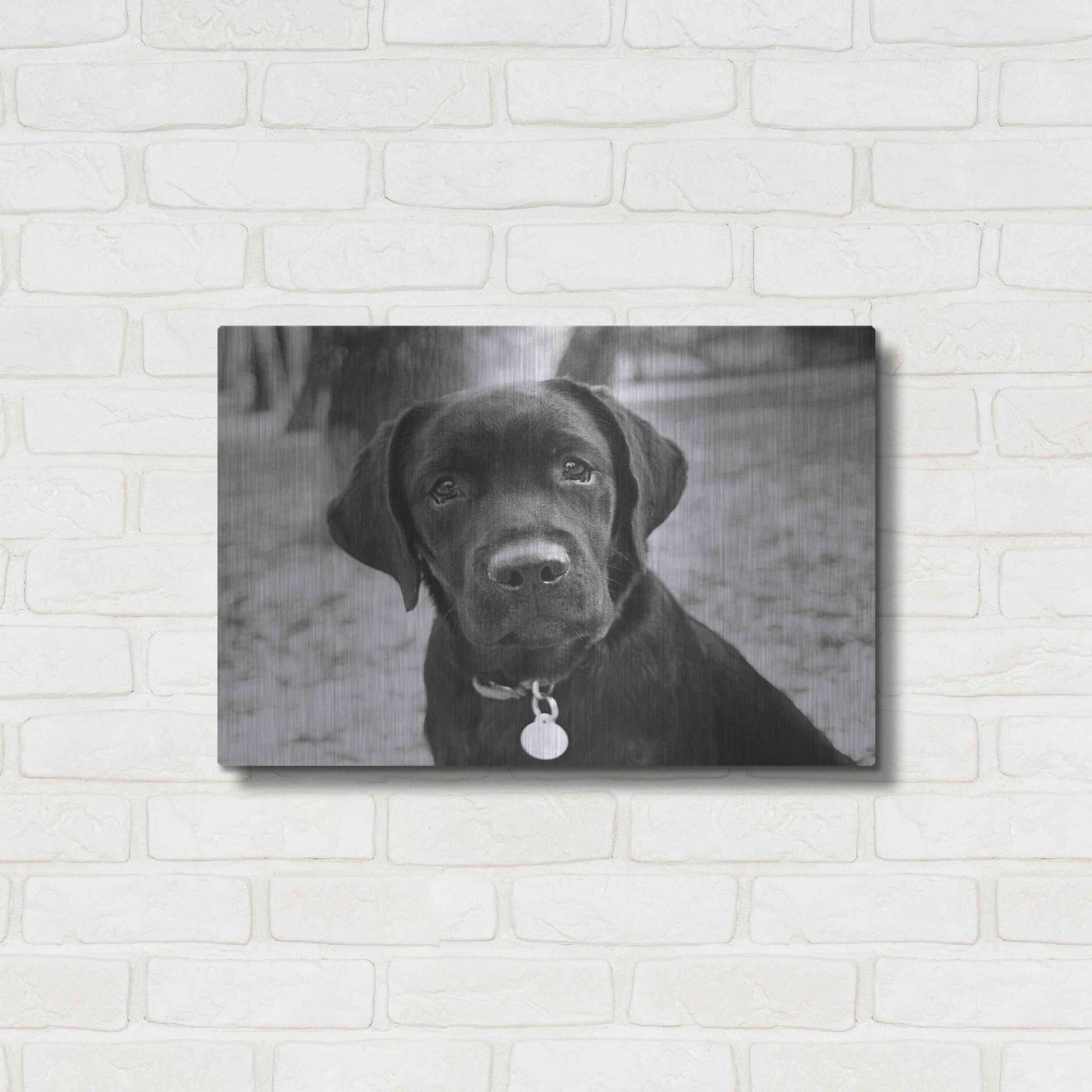 Luxe Metal Art 'Zoey' by Kim Levin, Metal Wall Art,24x16