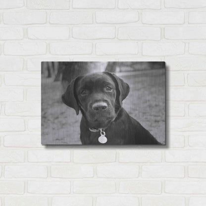 Luxe Metal Art 'Zoey' by Kim Levin, Metal Wall Art,24x16