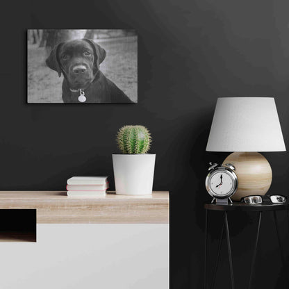 Luxe Metal Art 'Zoey' by Kim Levin, Metal Wall Art,24x16