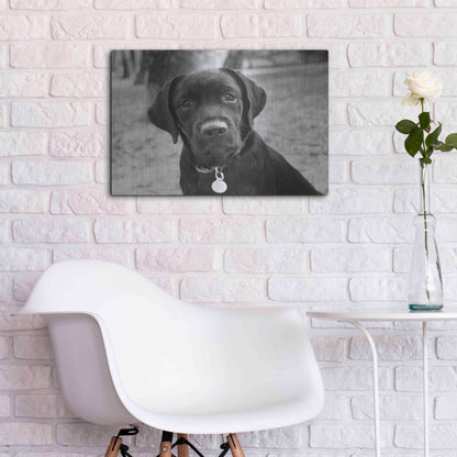 Luxe Metal Art 'Zoey' by Kim Levin, Metal Wall Art,24x16