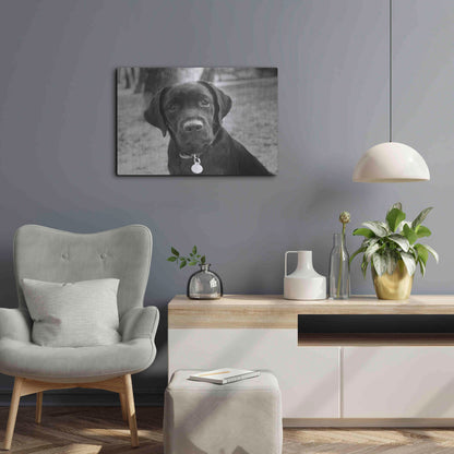 Luxe Metal Art 'Zoey' by Kim Levin, Metal Wall Art,24x16