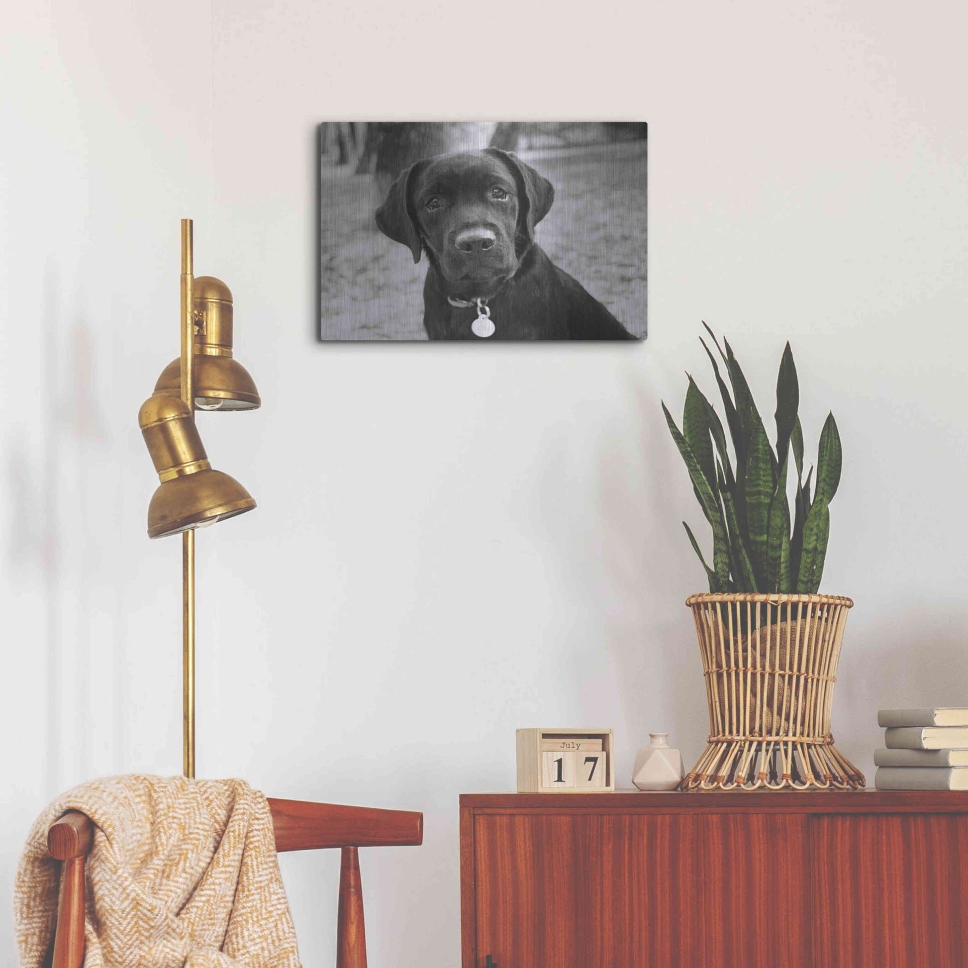 Luxe Metal Art 'Zoey' by Kim Levin, Metal Wall Art,24x16