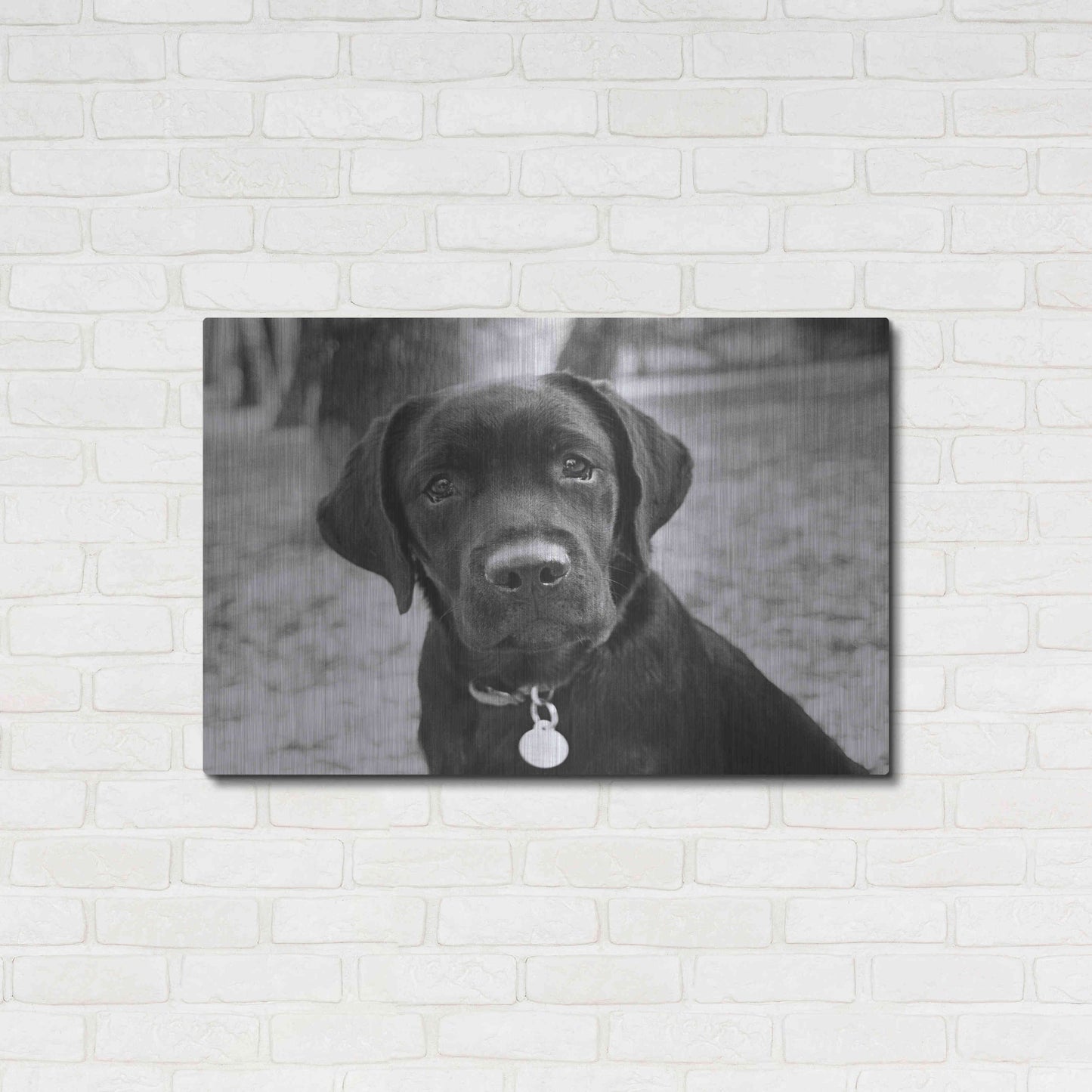 Luxe Metal Art 'Zoey' by Kim Levin, Metal Wall Art,36x24