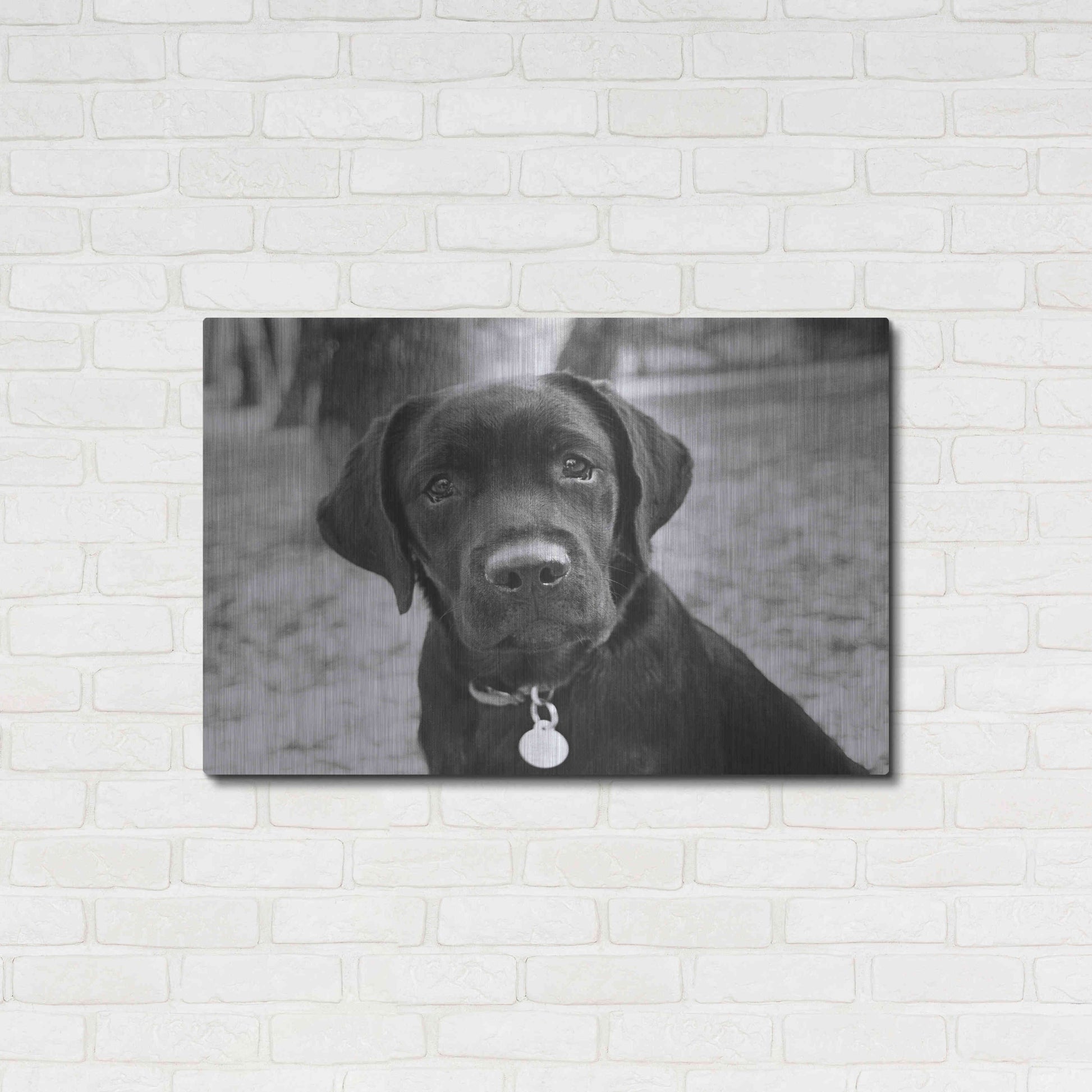 Luxe Metal Art 'Zoey' by Kim Levin, Metal Wall Art,36x24