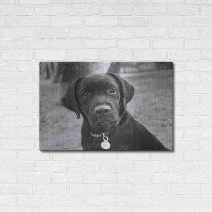 Luxe Metal Art 'Zoey' by Kim Levin, Metal Wall Art,36x24