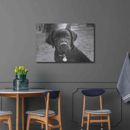 Luxe Metal Art 'Zoey' by Kim Levin, Metal Wall Art,36x24