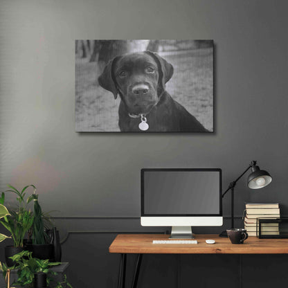 Luxe Metal Art 'Zoey' by Kim Levin, Metal Wall Art,36x24