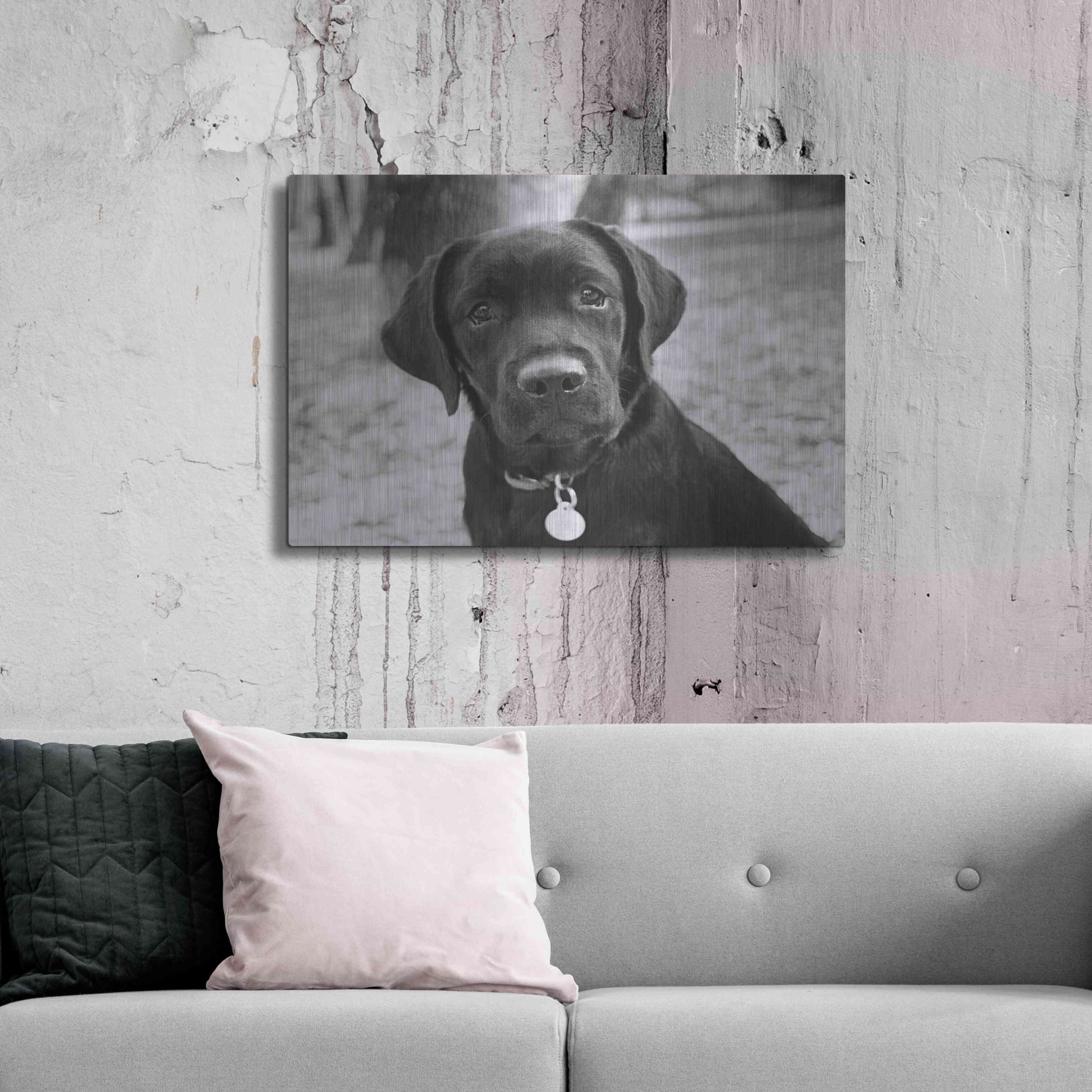 Luxe Metal Art 'Zoey' by Kim Levin, Metal Wall Art,36x24