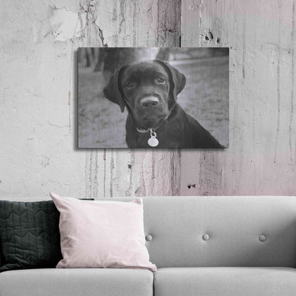 Luxe Metal Art 'Zoey' by Kim Levin, Metal Wall Art,36x24