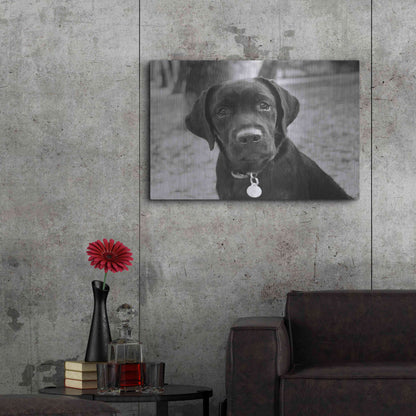 Luxe Metal Art 'Zoey' by Kim Levin, Metal Wall Art,36x24