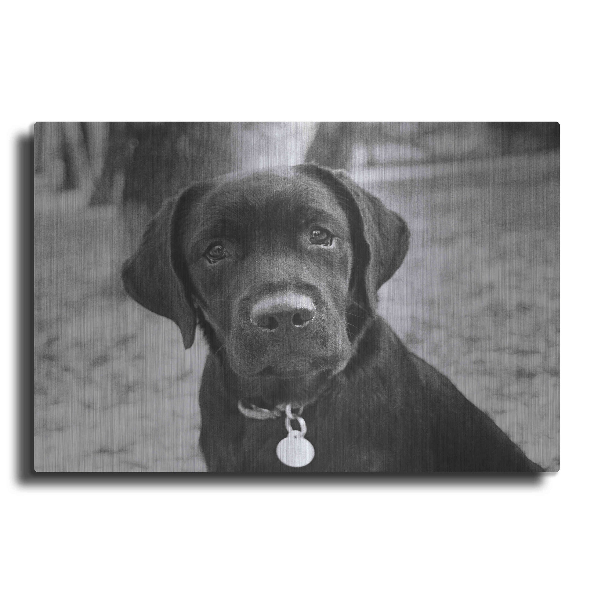 Luxe Metal Art 'Zoey' by Kim Levin, Metal Wall Art