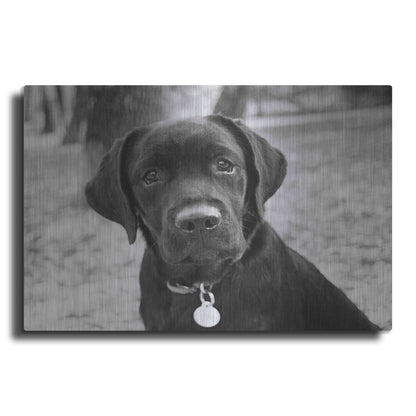 Luxe Metal Art 'Zoey' by Kim Levin, Metal Wall Art