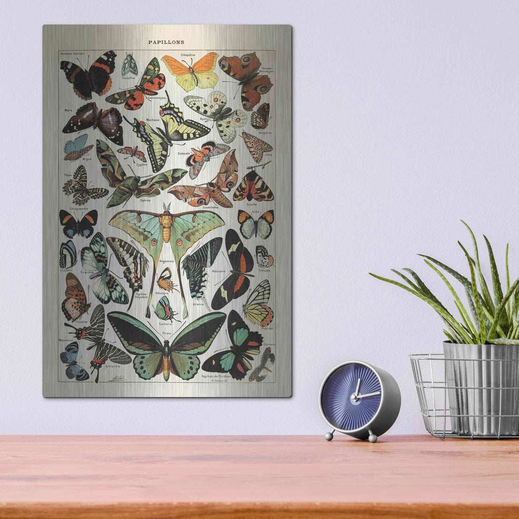 'Papillons 1' by Susan Ball – Metal Wall Art, 12x16 room view