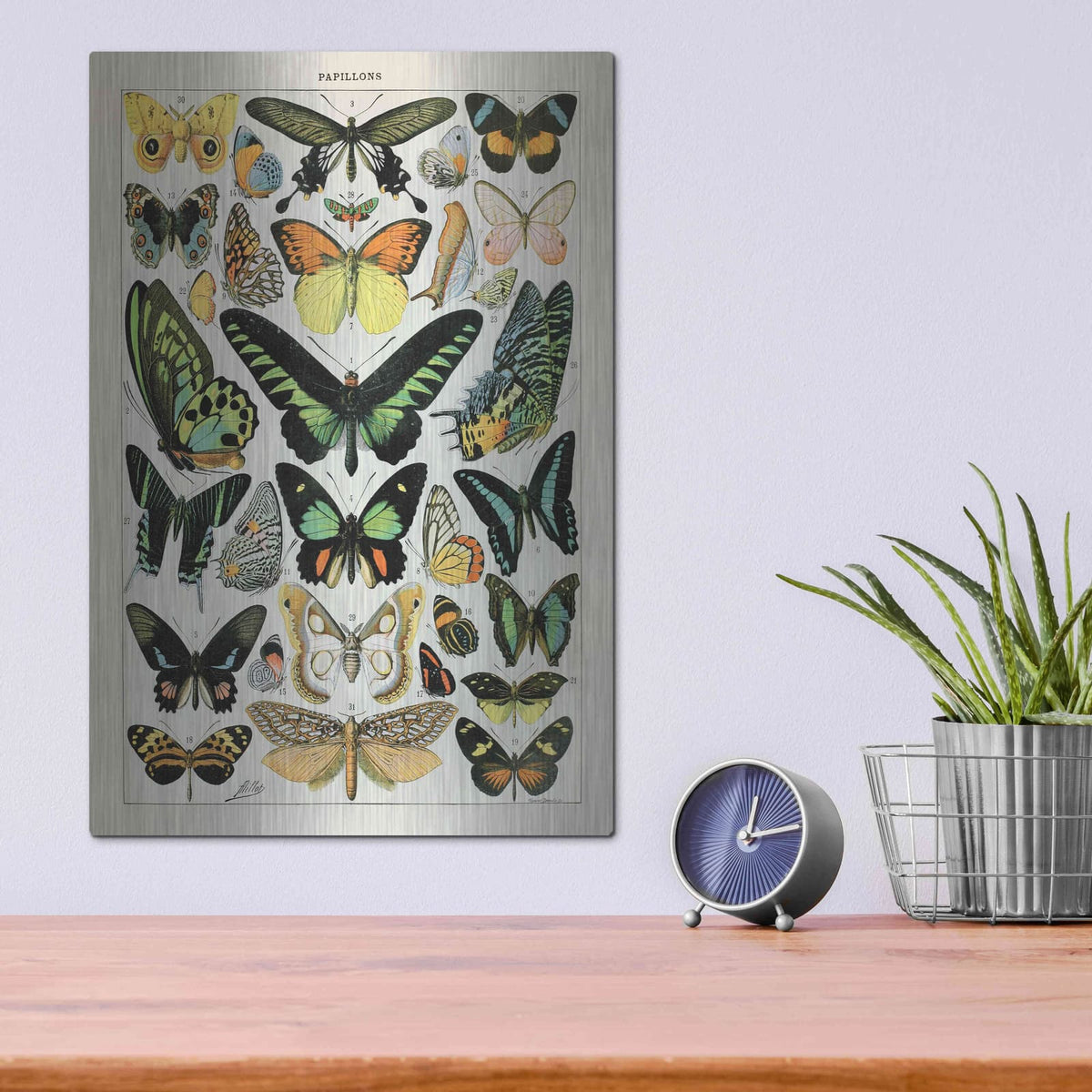 'Papillons 2' by Susan Ball – Metal Wall Art, 12x16 room view