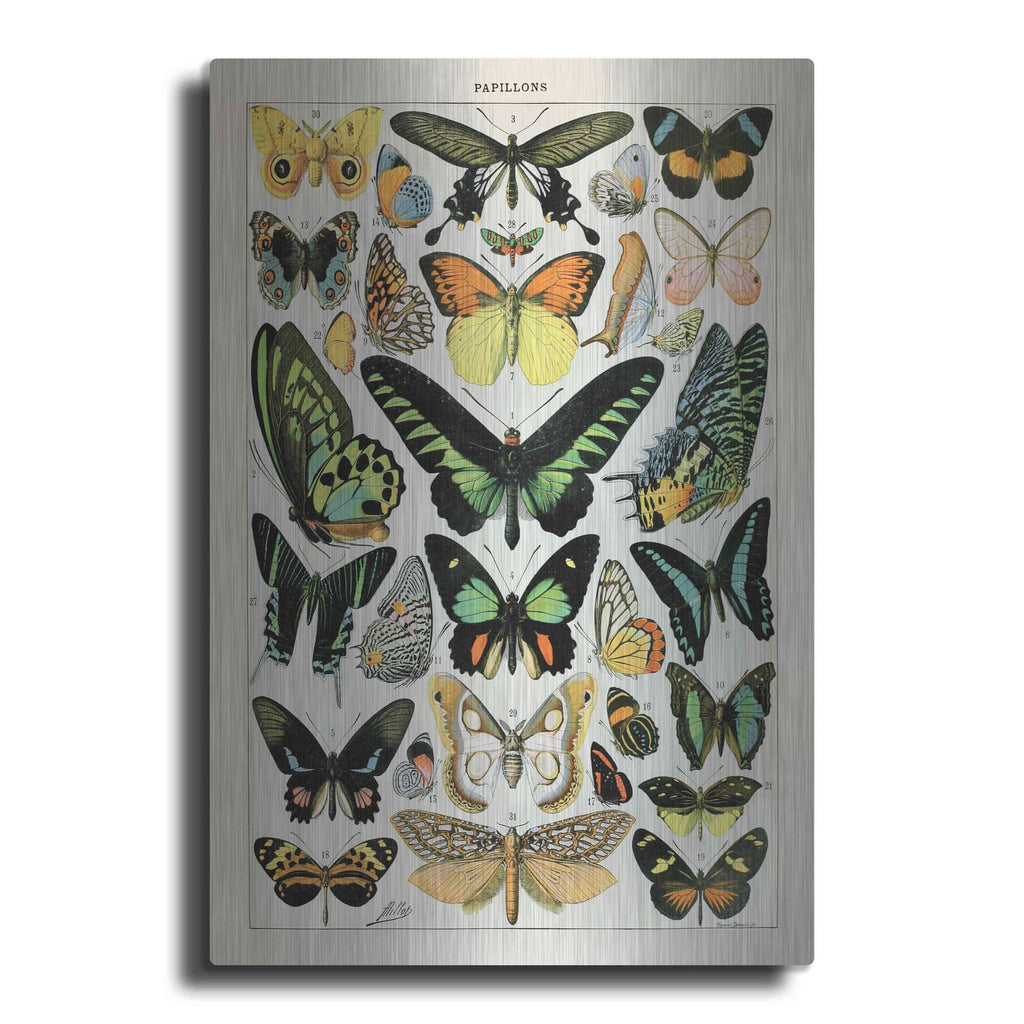 'Papillons 2' by Susan Ball – Metal Wall Art