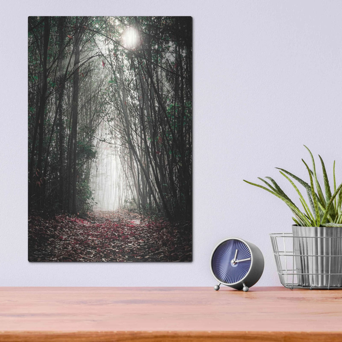 'Path In The Woods' by Susan Ball – Metal Wall Art, 12x16 room view